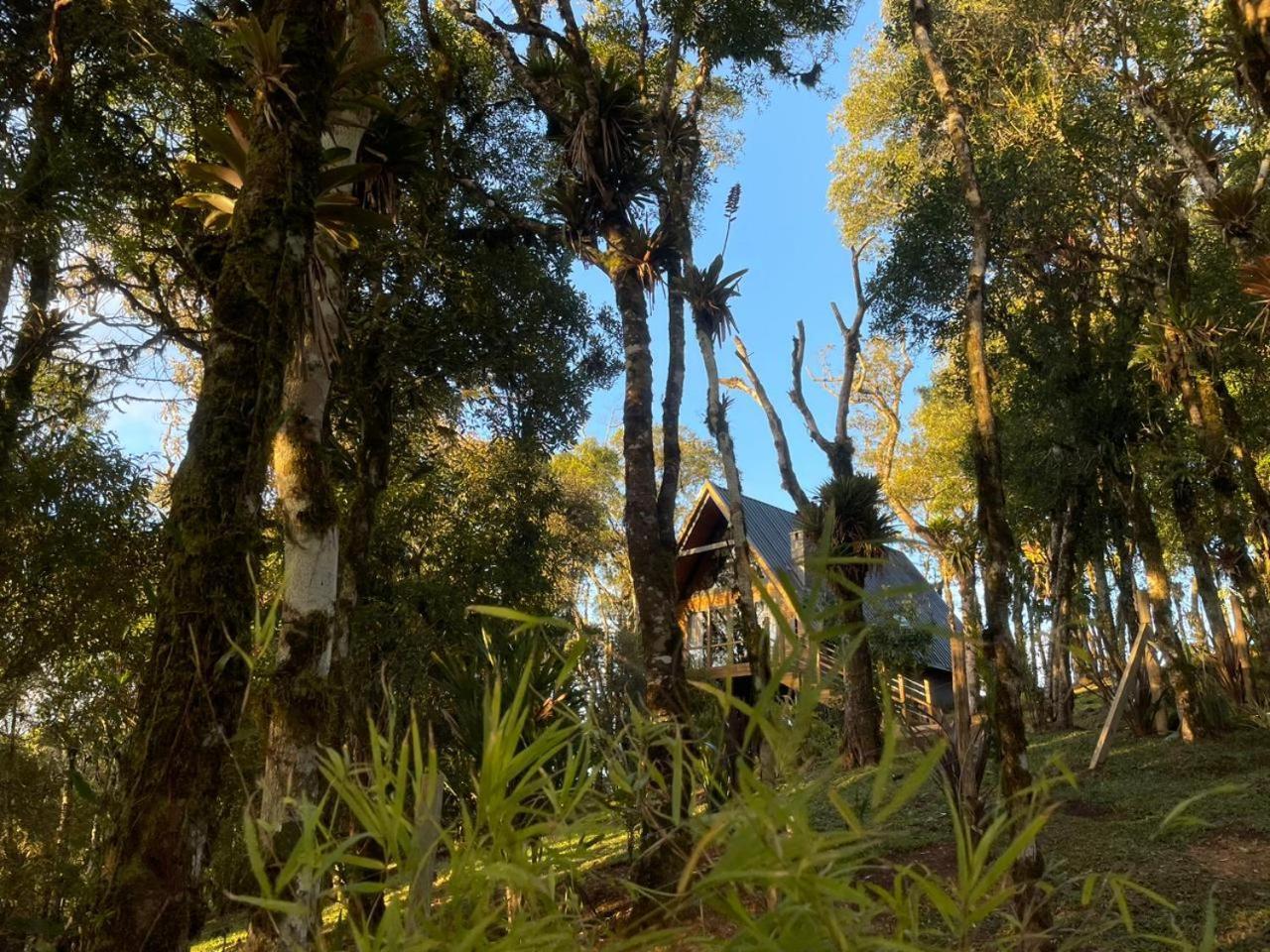 São Bento do Sul Casa Da Mataヴィラ エクステリア 写真
